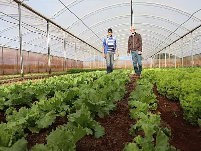 Governo federal libera R$ 3,1 milhões para apoiar agricultura familiar em MS