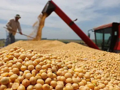 Conab estima safra de 297,5 milhões de toneladas de grãos para 2023/2024