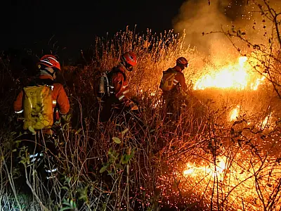 Operação Pantanal continua a intensificar esforços contra incêndios no MS