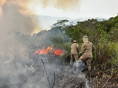 Corpo de Bombeiros e PM Ambiental trabalham incansavelmente para combater incêndio em Bonito
