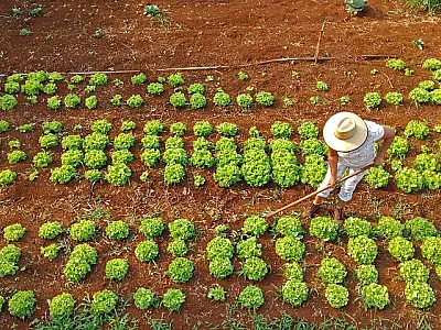 Novas regras do CMN impactam financiamento de projetos agrícolas e imobiliários no Brasil