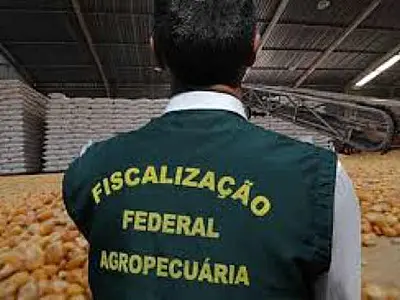 Auditores agropecuários federais decretam indicativo de greve e preveem impactos na exportação