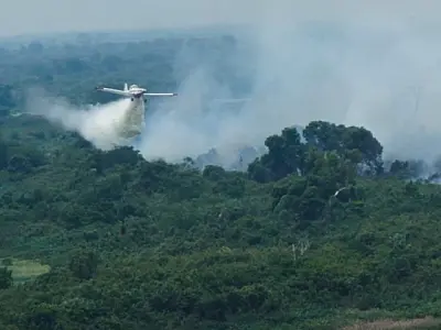 Incêndios no Pantanal avançam descontroladamente em Mato Grosso do Sul