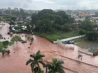 Temporal supera volume previsto para novembro e causa estragos em Campo Grande