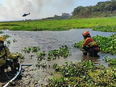 Pantanal: Bombeiros intensificam esforços em Serra do Amolar, Porto da Manga e Rabicho