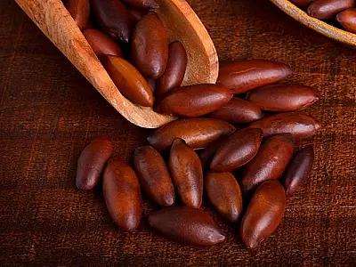 Castanha de Baru: O tesouro nutricional do cerrado em MS; conheça seus benefícios à saúde