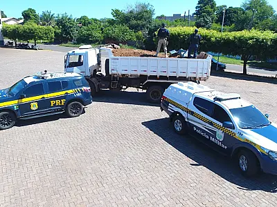 Operação em Mato Grosso do Sul resulta na maior apreensão de drogas do ano
