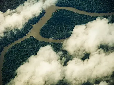 Desmatamento na Amazônia cai 35,4% e atinge menor índice desde 2015, informa Inpe
