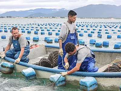 Criação de peixes em tanques federais chega a 138,5 mil toneladas