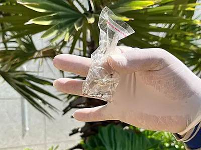 "Surto" de chikungunya em MS preocupa autoridades da Saúde