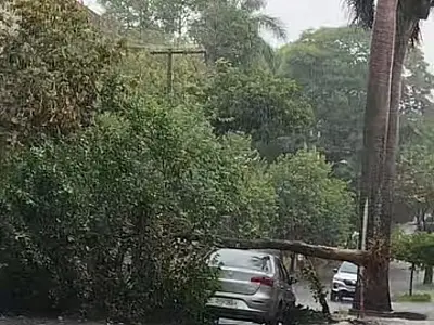Alerta sonoro no celular será acionado apenas em situações de alto risco