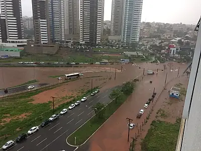 Forte chuva em Campo Grande causa enormes prejuízos aos moradores das regiões leste, sul e norte