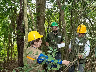 Itaipu triplica diversidade florestal em área de preservação no entorno do reservatório