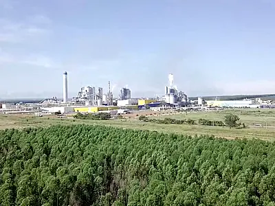Celulose, soja e minério de ferro impulsionam avanço de 17,4% nas vendas externas de MS