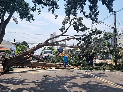 Tempestade de granizo e ventos fortes causa estragos em Campo Grande