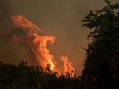 Incêndio na Serra do Amolar chega ao 10º dia e ameaça comunidade ribeirinha