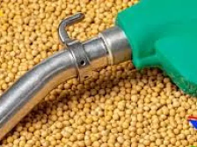 Governo federal adia entrada do biodiesel B15 e mantém mistura em 14%