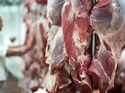 Alta da carne bovina leva argentinos a buscar alternativas como burro e lhama