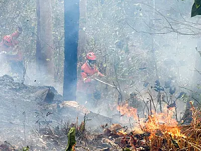Frente fria alivia incêndios em parte de MS, mas focos persistem