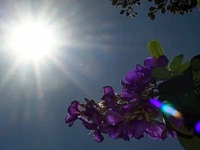 Quinta-feira de sol em Mato Grosso do Sul: Temperaturas elevadas e umidade em baixa