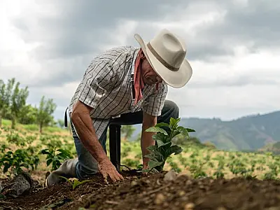 Famasul em parceria com a CNA discutem 'Planejamento Previdenciário Rural'
