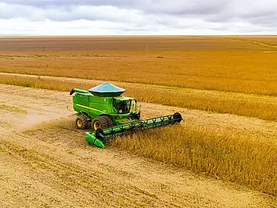 MS se prepara para produção recorde de soja, mas preços externos mais baixos preocupam