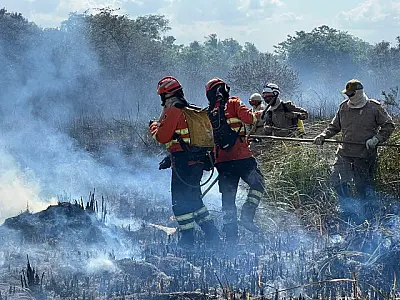 Bombeiros de Mato Grosso do Sul controlam incêndios no Pantanal após seis dias de combate
