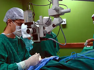 Exames são importantes para diagnóstico do câncer de intestino
