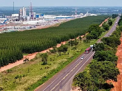 Leilão da Rota da Celulose pode gerar R$ 1,8 milhão por dia com pedágio