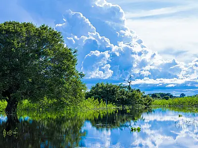 Pantanal projeta Mato Grosso do Sul como referência nacional em ecoturismo em 2026