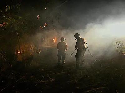 Frente fria alivia incêndios no Pantanal