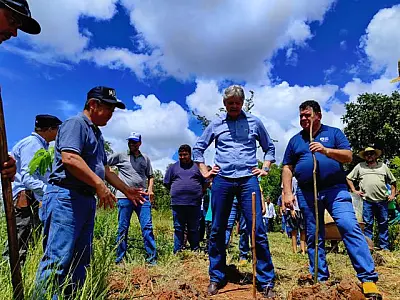 Agricultura familiar de MS entra no mercado de crédito de carbono com projeto pioneiro