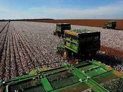 Mato Grosso do Sul recebe R$ 120,9 milhões em novos financiamentos do FCO