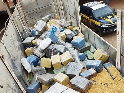 PF prende suspeitos e apreende maconha oculta em carga de milho