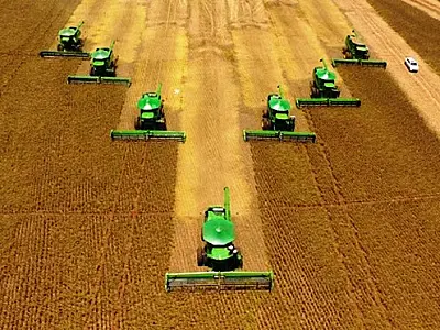 Mato Grosso do Sul lidera crescimento do PIB do agronegócio no Brasil, alcançando uma taxa de 32%