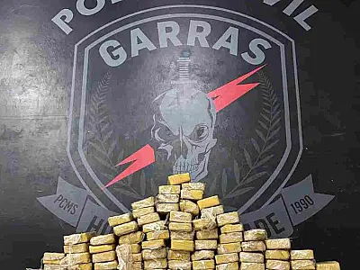 Equipes policiais de MS desvendam esquema do tráfico e confiscam mais de R$ 15 milhões em drogas