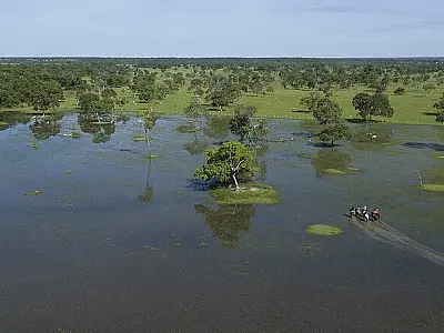 Lei do Pantanal: Medidas recém-implementadas e mais rigorosas passam a vigorar neste sábado (17)