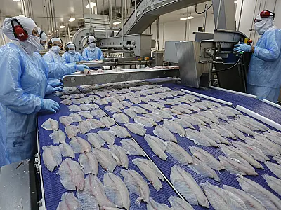 Produtos da agroindústria sul-mato-grossense conquistam mercados globais