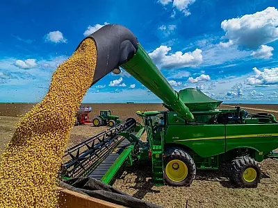 Brasil deve exportar 7,84 milhões de toneladas de soja em agosto, segundo ANEC