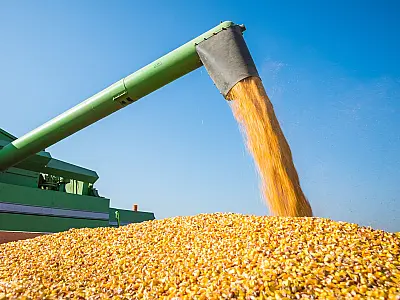 BNDES vai liberar R$ 12 bilhões para produtores rurais afetados por perdas de safra