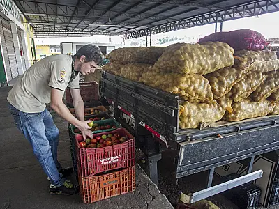 Batata tem queda de mais de 30% e cebola também fica mais barata, aponta pesquisa