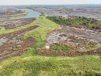 Crédito especial do FCO euxilia produtores do Pantanal na recuperação pós-incêndios
