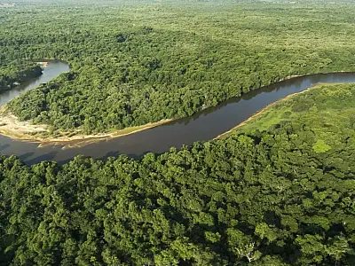Lei do Pantanal e Fundo Clima impulsionam novos rumos ambientais