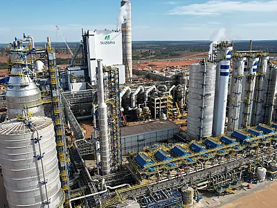 MS pode se tornar o maior exportador de celulose do país com nova megafábrica da Suzano