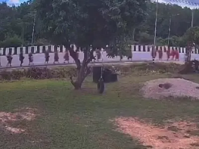 Criança de 11 anos atropela monges budistas em peregrinação, oito morreram; veja vídeo