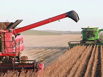 Exportações de Mato Grosso do Sul para a Argentina aumentam 234% em 2023