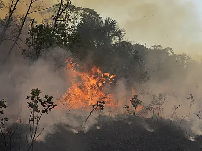 Novo projeto de lei pode  aumentar penas para incêndios florestais