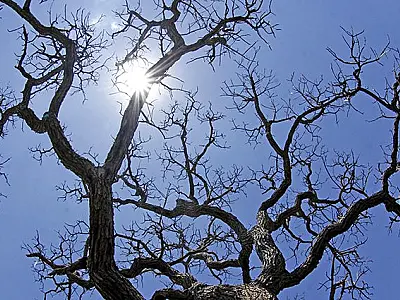 Tempo seco eleva temperaturas em Mato Grosso do Sul nesta quinta-feira