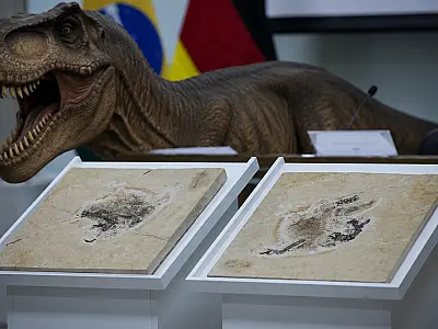 Brasil quer recuperar dinossauros e patrimônios que estão em 14 países