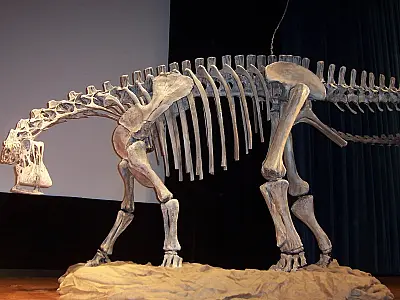 Nova espécie de Spinosaurus mirabilis é identificada no Níger